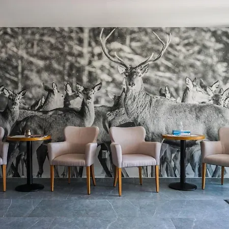 Casa de hóspedes Deer