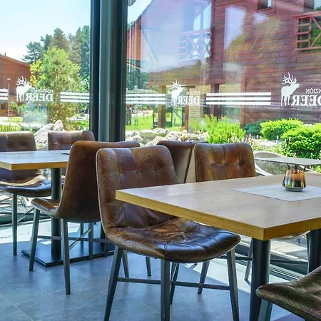 Deer Casa de hóspedes